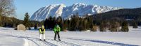 Langlauf Bad Mitterndorf 3_(c) TVB Ausseerland - Salzkammergut-Tom Lamm